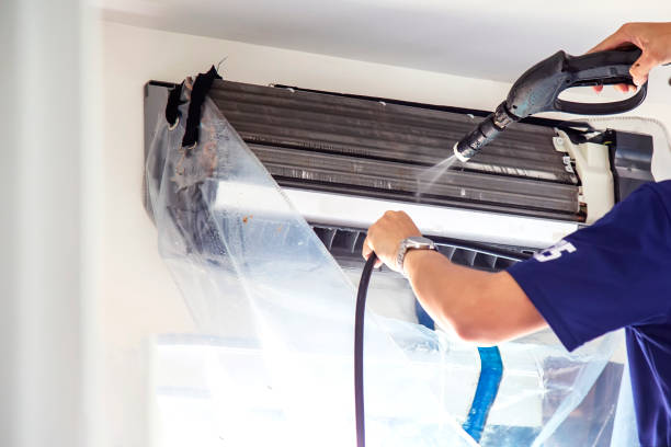 Best Air Duct Mold Removal  in West Odessa, TX